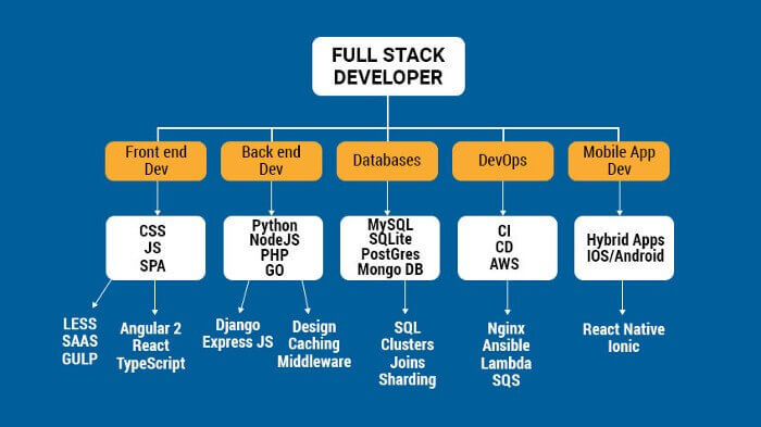 Full stack developer